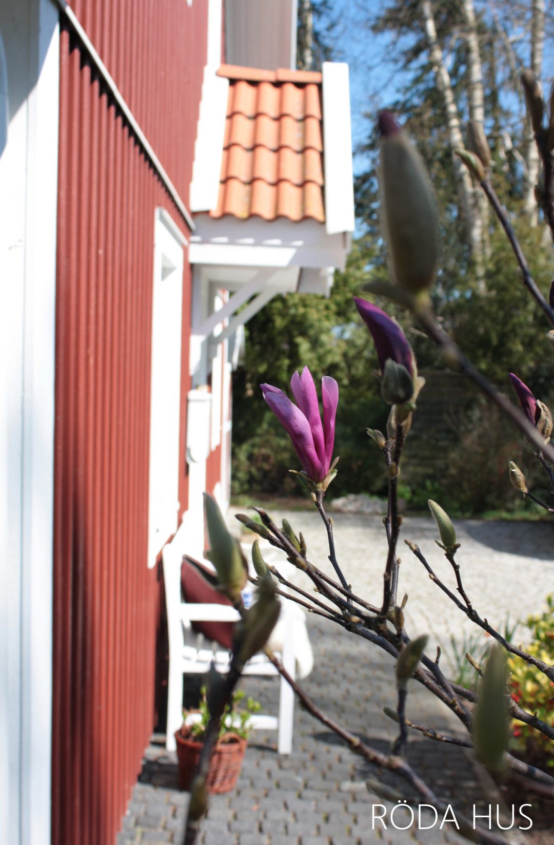 Frühlingserwachen im Garten Röda Hus